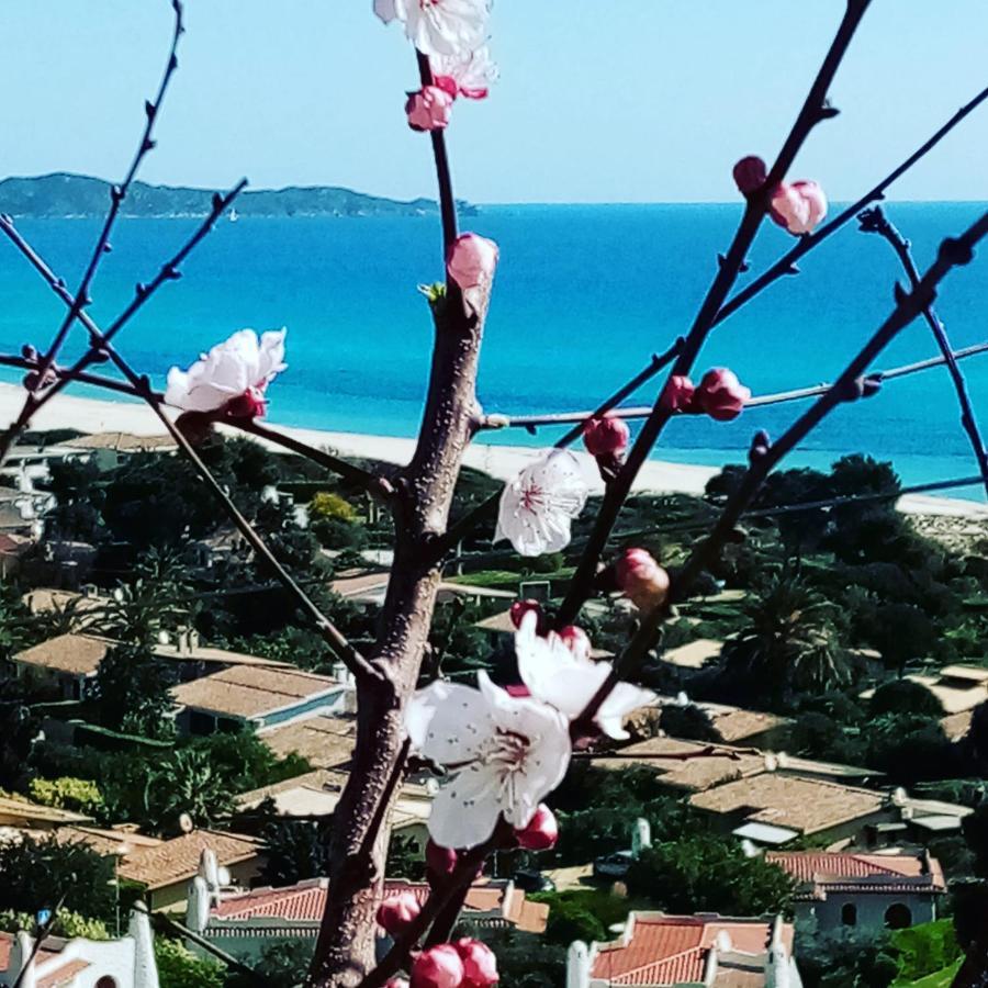 La Terrazza Sull'Alba Villa Costa Rei Eksteriør billede